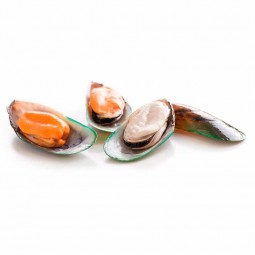 Half Medium Greenshell Mussel Frz Nz (1kg)  - TalleyÕS