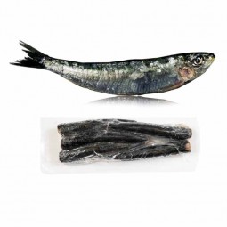 Sardine Fillet Frz 2kg (~150G) - Cinq Degres Ouest