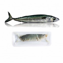 Mackerel Fillet Frz 2.5kg (80G-120G) - Cinq Degres Ouest