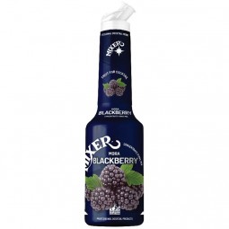 Concentrate Puree Blackberry (1L) - Mixer