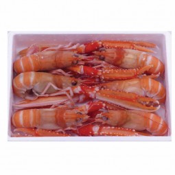 Langoustine 12/15 Norway Frz (1.35kg) - Palamos