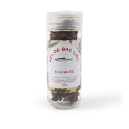 Hoa hồi - Star Anise (20G) - Bac Lieu